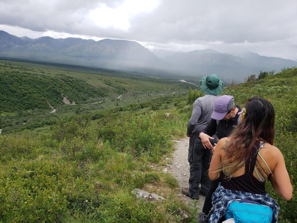Denali Wild Stay - Moose Cabin, Free Wifi, 2 Private Bedrooms, Sleep 6 Хили Экстерьер фото