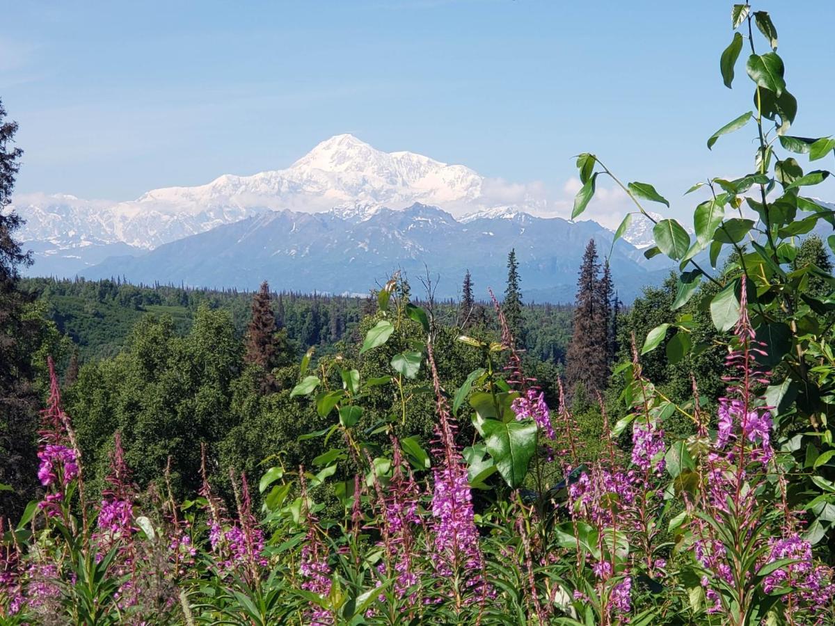 Denali Wild Stay - Moose Cabin, Free Wifi, 2 Private Bedrooms, Sleep 6 Хили Экстерьер фото